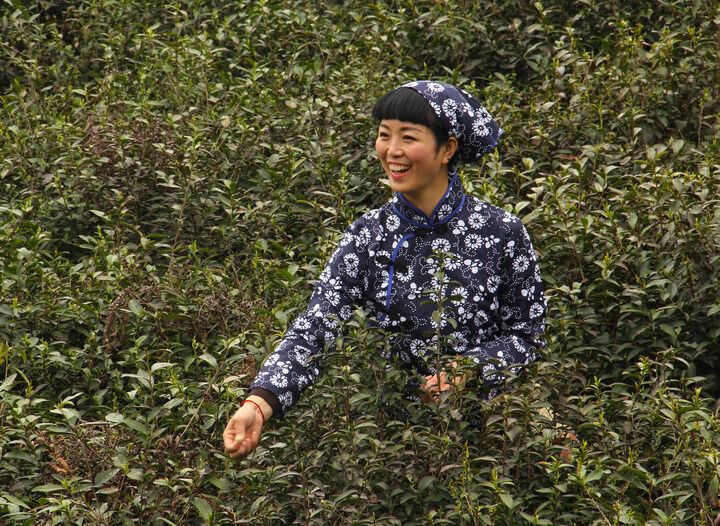 伊人淫app直播